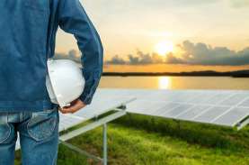 Engineer stood in a field of solar panels